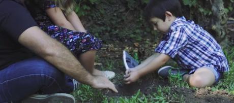 Un libro que puedes plantar para que se transforme en un árbol de nuevo