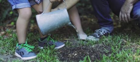 Un libro que puedes plantar para que se transforme en un árbol de nuevo