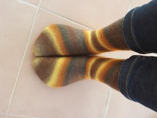 Swapetines 2015. Terminados por este año