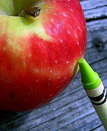 La Psicología,clave en los programas para el control de peso, según la APA