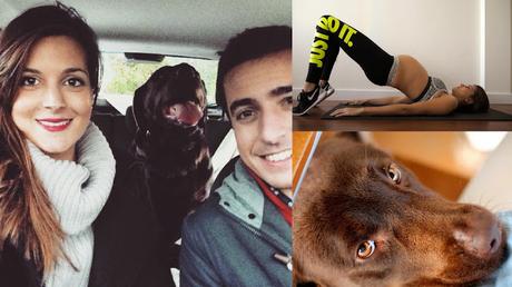 Balance Semana 38 / Summary of week 38