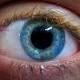 Cómo el ébola resistió en el ojo de un paciente curado - BBC Mundo