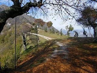 Anillamiento en Los Alpes // Progetto Delle Alpi - Stazione Passo di Spino - 21-27 Octubre 2010