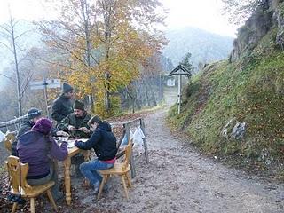 Anillamiento en Los Alpes // Progetto Delle Alpi - Stazione Passo di Spino - 21-27 Octubre 2010