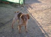 Historias adoptados .Zheus