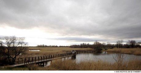 Un año después, el humo cede el paso al agua