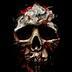 skull.jpg