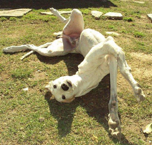 Jonas, olvidó su pasado