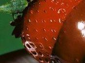 Salón Chocolate Madrid