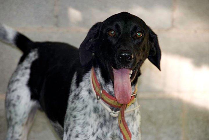 Ya nadie se acuerda de 