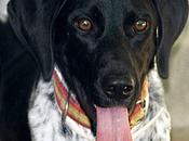 nadie acuerda "Alegre"