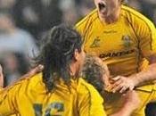 Bledisloe cup: australia acabo maldicion