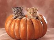 ¡¡¡feliz halloween!!!