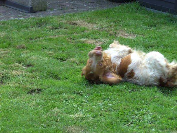 Cuando la ofensa se vuelve halago