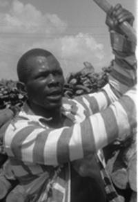 Oh brother, where art thou? Un pequeño repaso por el antiguo y nuevo folk americano