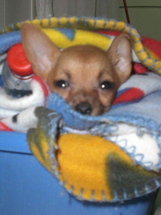 Una despedida muy amarga