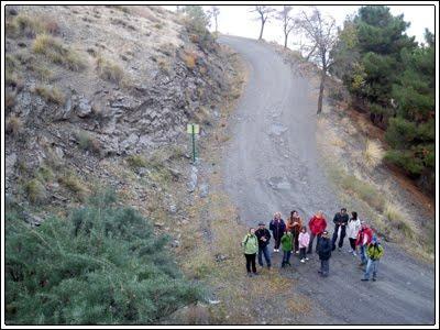 Las crónicas de Abla: los leones, las brujas y las aperturas de armarios Las crónicas de Abla: los leones, las brujas y las aperturas de armarios
