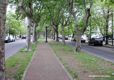 Espacios verdes en la ciudad