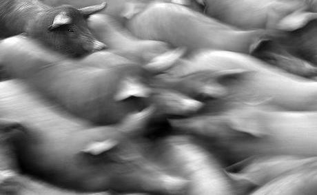 Endeudados El poder de la deuda