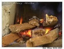 Los Biocombustibles Producen Anemia