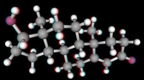 El principio del Handicap de los Zahavi El principio del Handicap de los Zahavi