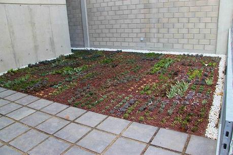 10 formas de integrar la vegetación en arquitectura. 10 formas de integrar la vegetación en arquitectura.