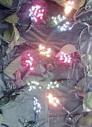 Tecleando, pide salir