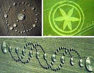 Proyecscrito II: diga 33