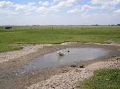 Ponele ganas, ponele amor