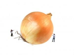 LA FACTURA CON SOMBRA