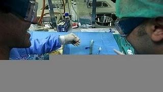 Madrid estrena las primeras instalaciones del mundo para fabricar órganos artificiales