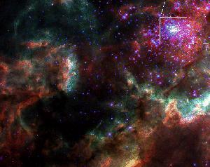 ¿Son las galaxias de rotación rápida asesinas estelares?