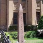 Museoa gricultrua del cairo