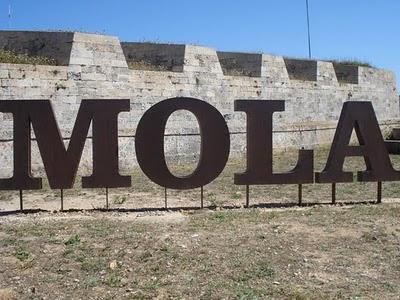 ¿tú también lees tus pasos?