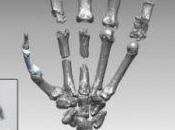 neandertales tenían vida sexual intensa