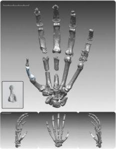 Los neandertales tenían una vida sexual intensa