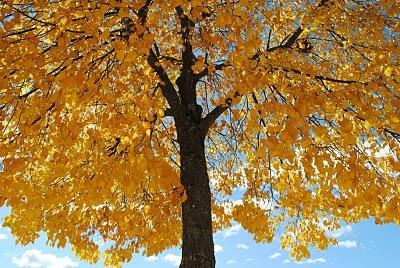 Como hacer que tus clientes te quieran...