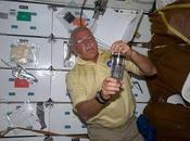 Estación Espacial ¿Realmente sirve para algo?