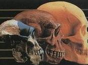 Evolución: ¿Guiada Ciega?