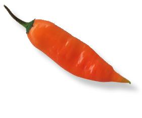 ¿Sufre De Prurito? Cuidado Con El Picante