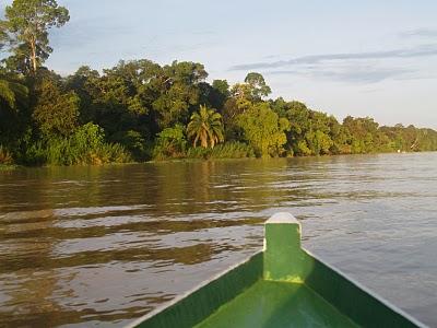 Sungai Kinabatangan, el regalo de Malasia a la Tierra