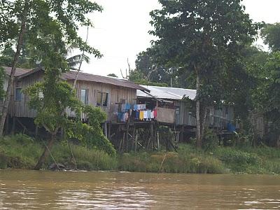 Sungai Kinabatangan, el regalo de Malasia a la Tierra