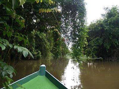 Sungai Kinabatangan, el regalo de Malasia a la Tierra