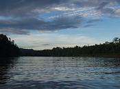 Sungai Kinabatangan, regalo Malasia Tierra