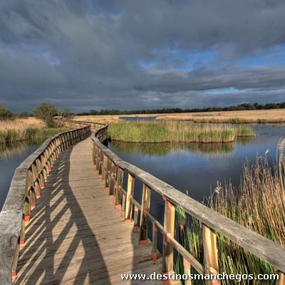 LAS TABLAS DE DAIMIEL (Parque Nacional) Visita guiada básica