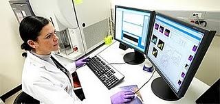 Logran transformar los fibroblastos en células sanguíneas