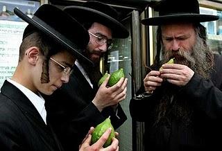 Potok y sus elegidos