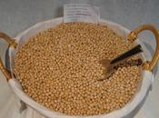 Receta paso paso.....(garbanzos...).-