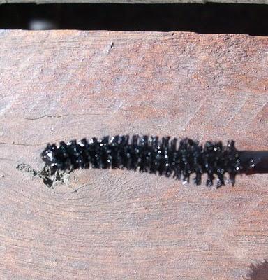 Sacando la diva interior.