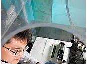 potencial médico gelatina pescado